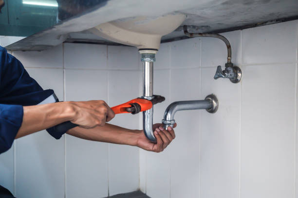 Best Residential Plumbing Services  in Centreville, MI
